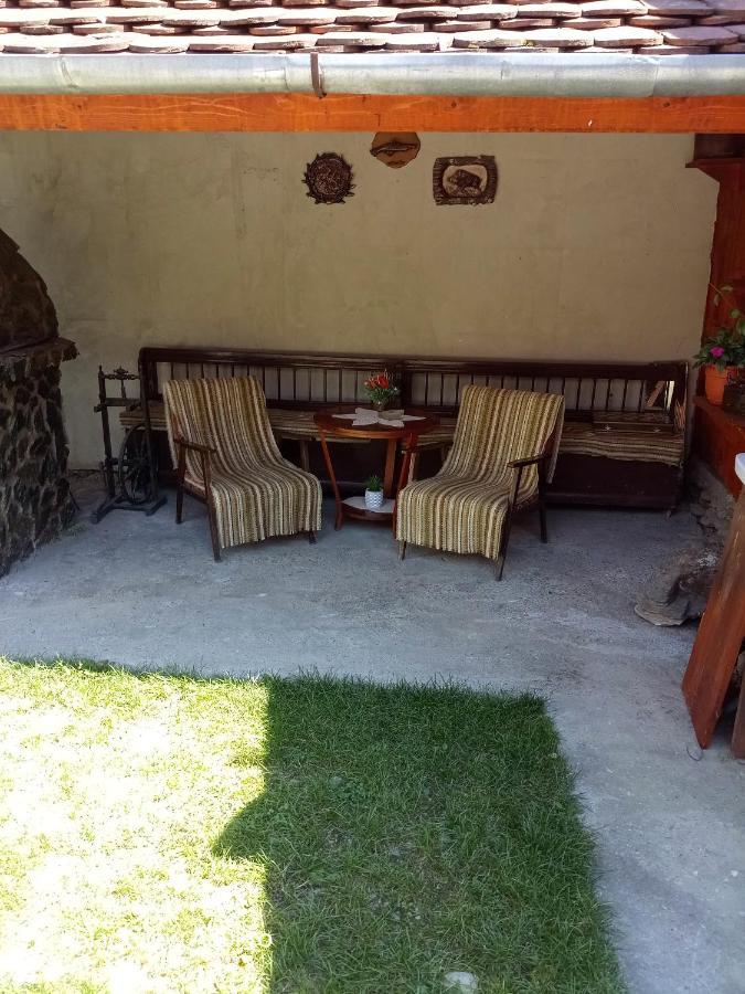Casa Mari Hotel Cîrţişoara Kültér fotó