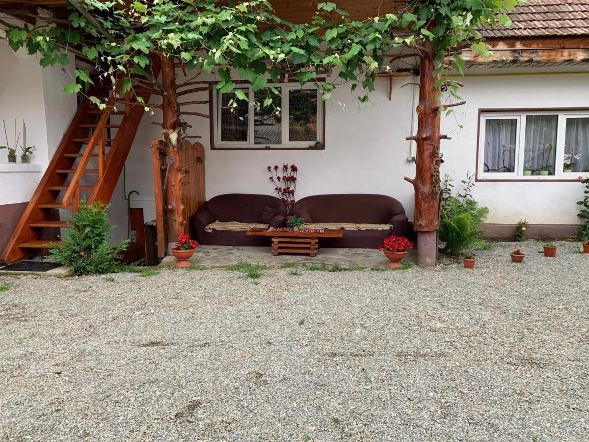 Casa Mari Hotel Cîrţişoara Kültér fotó