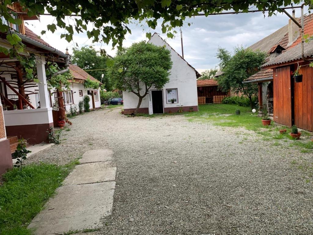 Casa Mari Hotel Cîrţişoara Kültér fotó