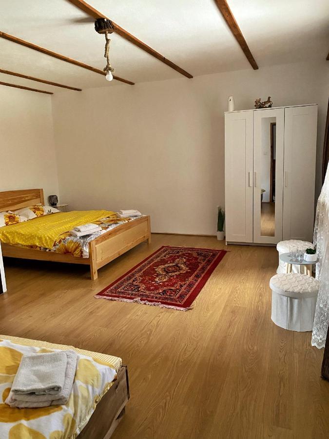 Casa Mari Hotel Cîrţişoara Kültér fotó