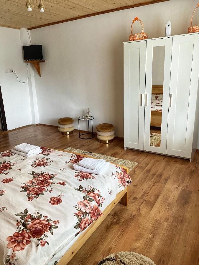 Casa Mari Hotel Cîrţişoara Kültér fotó
